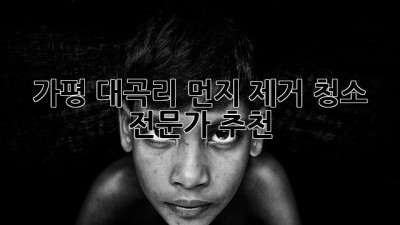 가평 대곡리 먼지 제거 청소 전문가 추천!