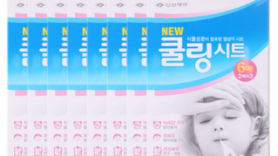 쿨링템 막차 탑승! 일본산 냉각시트 솔직 후기 & 꿀팁 ❄️